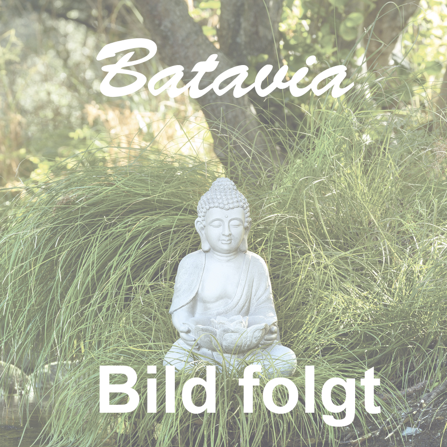 Erwarte Produktbild