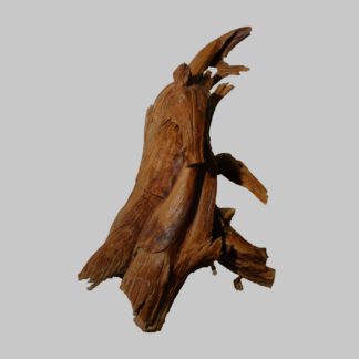 Skulptur, Teakwurzel