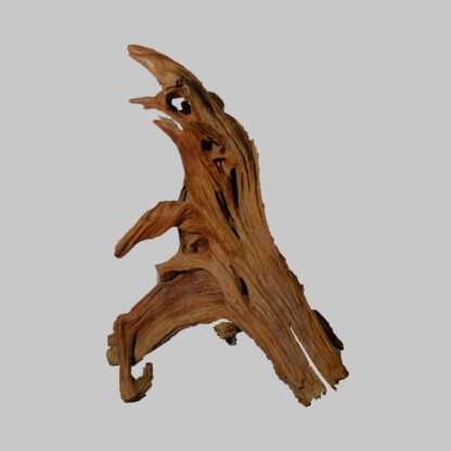 Skulptur, Teakwurzel – Bild 2