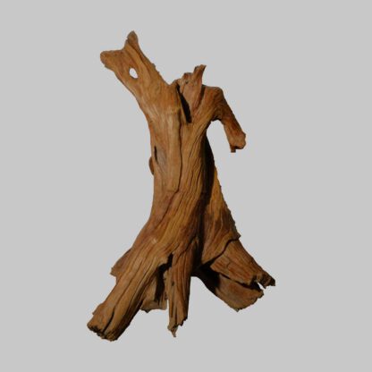 Skulptur, Teakwurzel – Bild 3