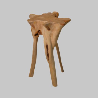Wurzel-Stehtisch, Lampentisch, Hochtisch, Blumentisch – Bild 2