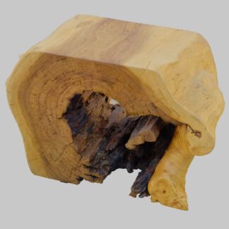 Baumscheiben-Hocker
