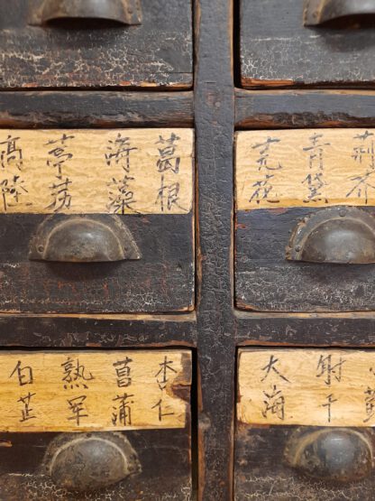 japanischer "Schrank der 199 Fächer"  :  Antiker Apothekerschrank, originale Beschriftung – Bild 4